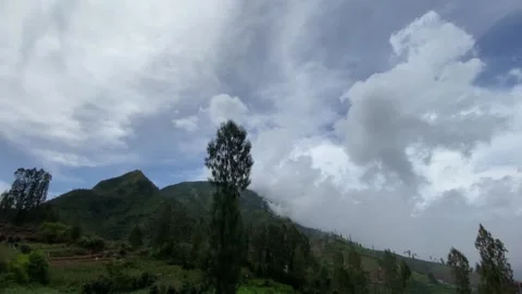 Misty mountains with pine trees cloudy blue sky. 4k Video stock 247016259