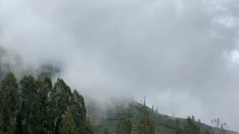 Misty mountains with pine trees cloudy blue sky. 4k Video stock 247016512