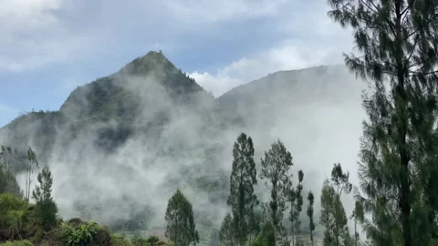 Misty mountains with pine trees cloudy blue sky. 4k Video stock 247016635