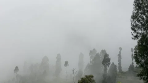 Misty mountains with pine trees cloudy blue sky. 4k Video stock 247016899