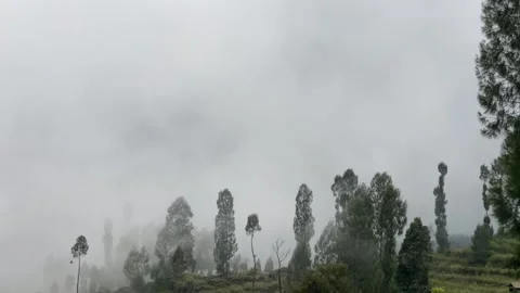 Misty mountains with pine trees cloudy blue sky. 4k Video stock 247016900
