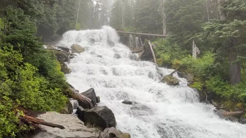 Misty Multi Tier Waterfall Rushing Over Rocks in Dense Evergreen Forest Stock Footage 345369823