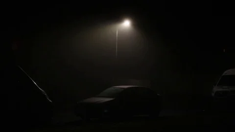 Misty Night 스톡 동영상 78433678