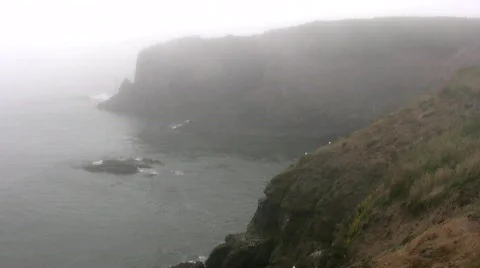 Misty Oregon coast Video stock 536319