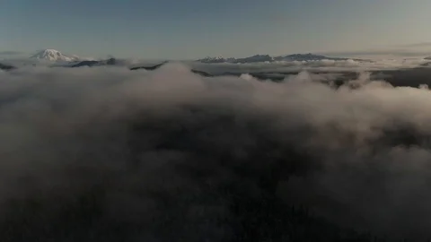 Misty pacific forest with Volcano Video stock 118016926
