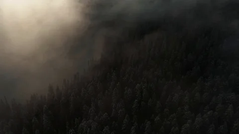 Misty pacific forest with Volcano Stock Footage 118017179