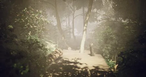 Misty pathway through dense forest with soft sunlight filtering through trees Stock Illustration
