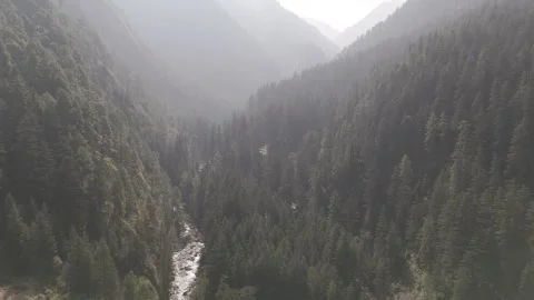 Misty Pine and Deodar Covered Mountain Ridges in Parvati Valley Kasol Stock-Footage 321107626