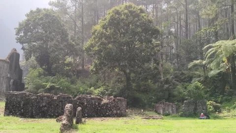 Misty pine forest and ancient stone ruins landscape outdoors 스톡 동영상 347920129