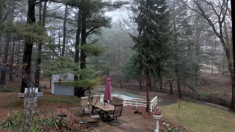 Misty Pine Forest Backyard Patio on a Quiet Morning Stock Footage 330510712