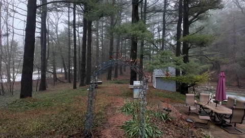 Misty Pine Forest Backyard on a Quiet Morning Stock Footage 330508561