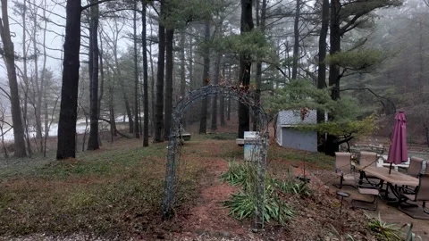 Misty Pine Forest Garden Arch in Backyard Morning Stock Footage 330536714