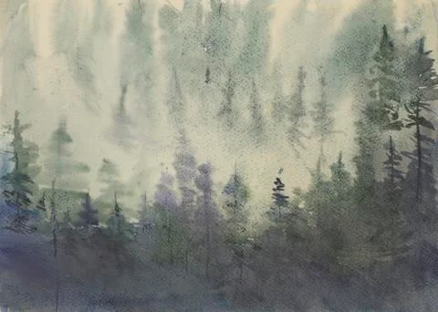 Misty pine forest Illustrazione stock