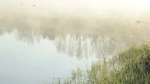 Misty pond Stock Footage 4957119