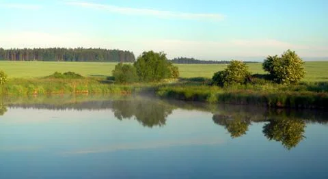 Misty pond Stock Photos