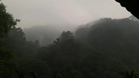 Misty Rain Over Dense Mountain Forest Valley Vídeos de archivo 341320380