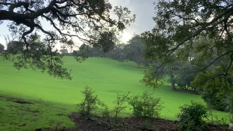 Misty Rain at the Park Video stock 207914837