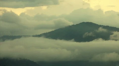 Misty rainforest mountains at dawn Vidéo 1001638