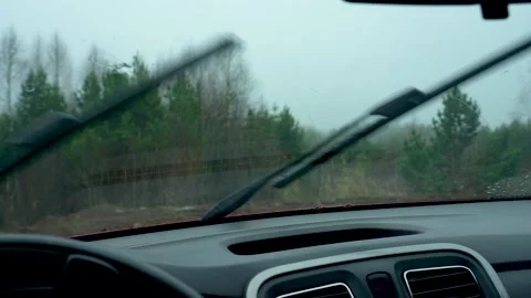 Misty Rainy Drive Through Dense Forest: Observing Verdant Trees and Foggy 스톡 동영상 333366553