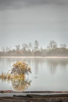 Misty Reflection, Fraser River 스톡 사진