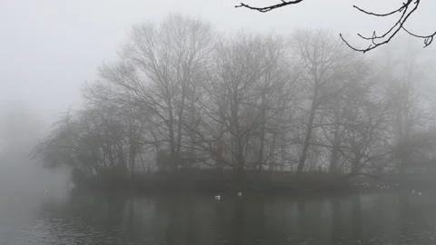 Misty reflections. Stock Footage 145789869