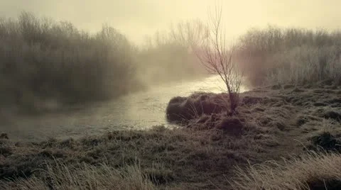 Misty River 1 Video stock 22072027