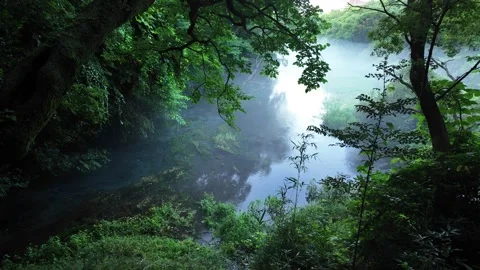 Misty river backlit by morning sun through the trees Stock Footage 341175825