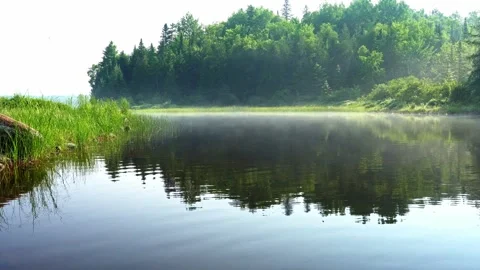 Misty River Bend in Untouched Wilderness with Mist Rising Over Water Stock Footage 336279067