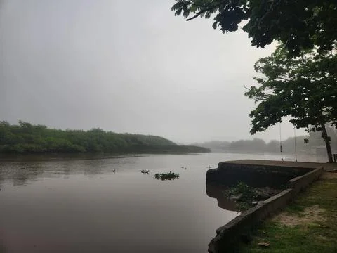 Misty River at Dawn Stock Photos