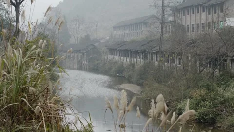 Misty River Flows Past Old Abandoned Buildings and Factory Ruins Video stock 335462240