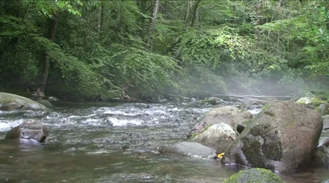 Misty River Stock Footage 29801621