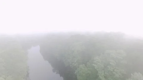 Misty River Stock Footage 116263525