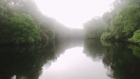 Misty River Stock Footage 116263554