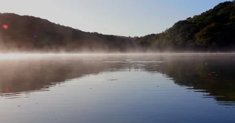 Misty River Stock Footage 218889119