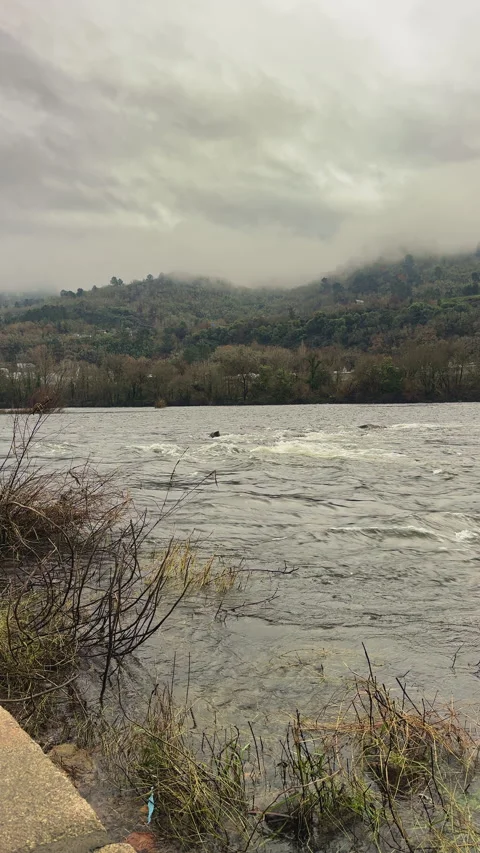 Misty River Landscape on a Cloudy Day Stock Footage 275674059