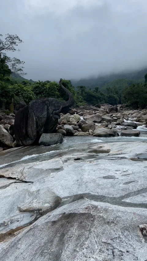 Misty River Landscape Stock Footage 310821459