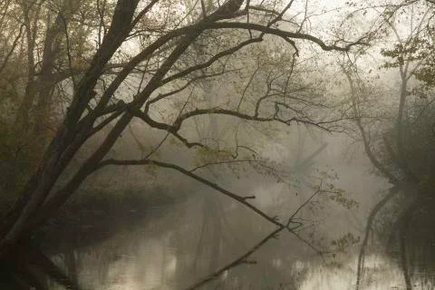 Misty River Stock Photos
