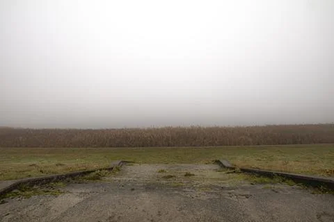 Misty river Stock Photos