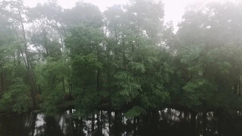Misty River Rise Stock Footage 116263371