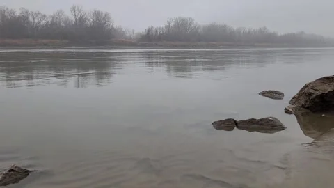 Misty River with Steady Current and Tree Reflections on Overcast Morning Stock Footage 330310862