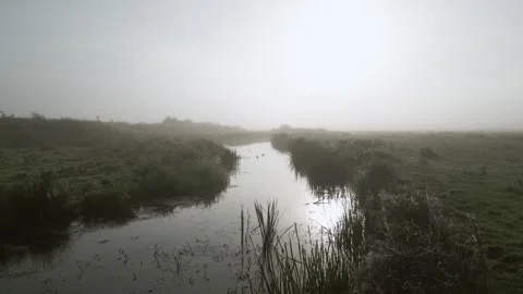 Misty River Wildlife Stock Footage 272766455