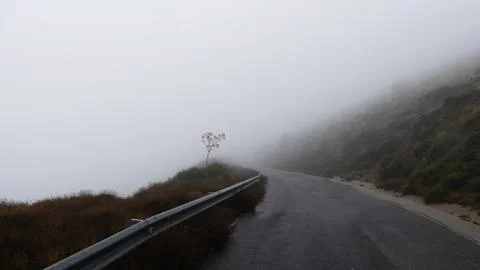 Misty Road 1 Stock Photos
