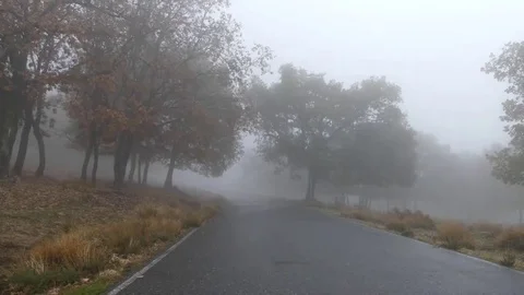 Misty Road  Stock Footage 69242158
