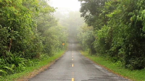 Misty road Stock Footage 287355651