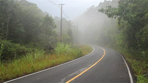 Misty Road Stock Footage 289762903
