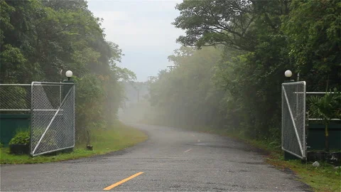Misty Road Stock Footage 294765476