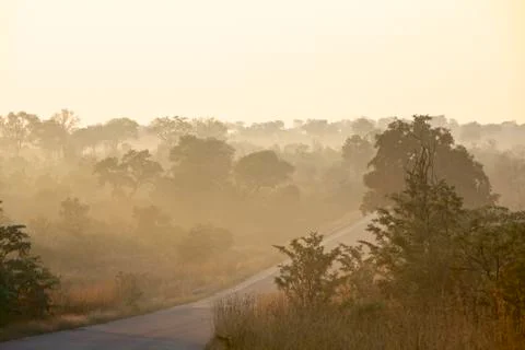 Misty road Stock Photos