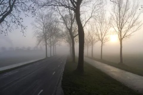 Misty road Fotos Stock