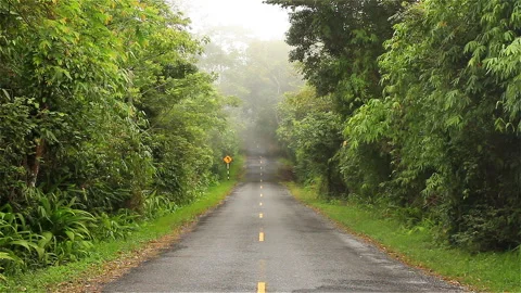 Misty road with sound Stock Footage 287963591