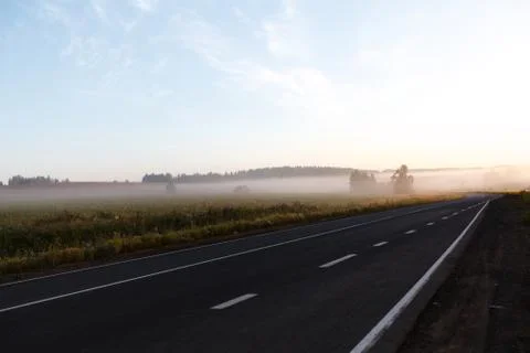 Misty road through green fields with road signs and low visibility Foto stock
